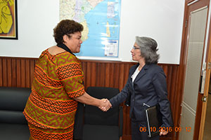 Maria Amélia Maio de Paiva, Embaixadora de Portugal