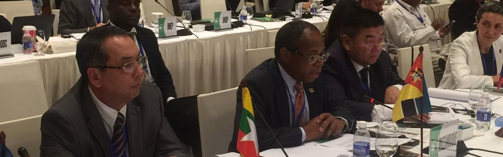 Conferência de Hanói sobre o Comércio Ilegal da Fauna Bravia