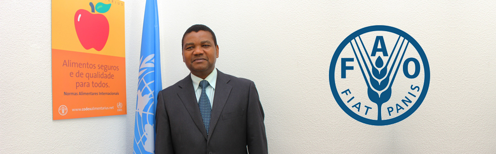 Hélder Mutheia, coordenador sub-regional da FAO para a África Central