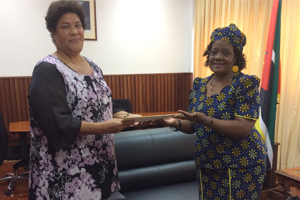 Balbina Pienaar, Alta Comissária da Namíbia