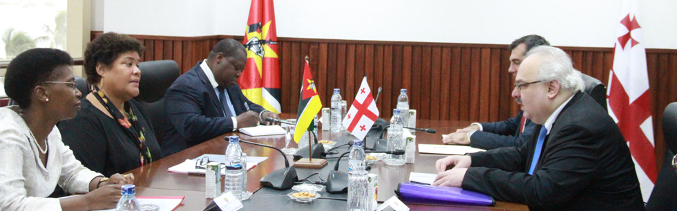 Moçambique e Geórgia em consultas políticas