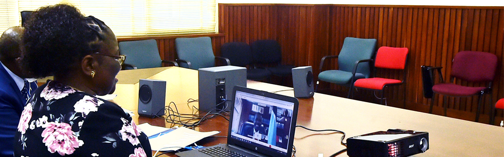 Ministra Verónica Macamo em reunião virtual com o homólogo de Botswana, Lemogang Kwape