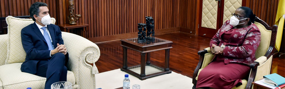 Ministra Verónica Macamo na audiência que concedeu ao Secretário de Estado dos Negócios Estrangeiros e Cooperação de Portugal, Francisco André