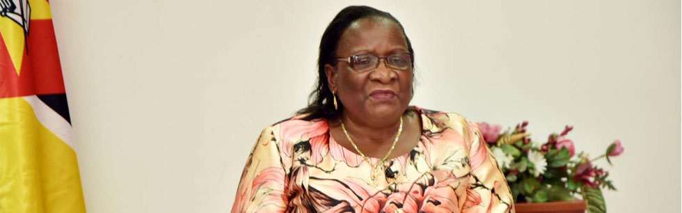 Ministra Verónica Macamo na reunião ministerial do TICAD em videoconferência