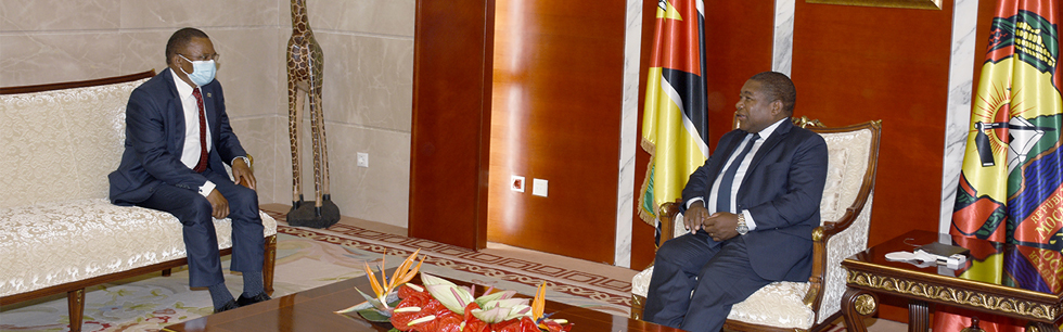 Presidente da República na audiência que concedeu ao Vice Presidente do Botswana