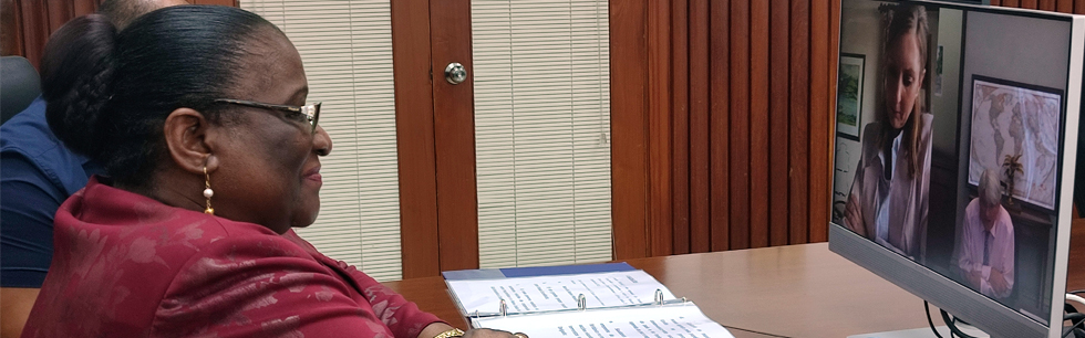 Ministra Verónica Macamo no encontro virtual com o Ministro britânico para o Desenvolvimento e África Andrew Mitchell