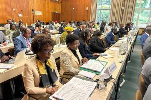 Secretária de Estado Manso no debate sobre a reestruturação da organização de países da África, Caraíbas e Pacífico