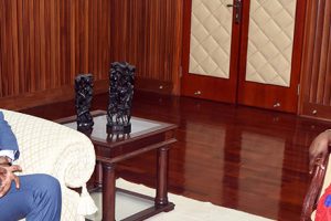 Ministra Verónica Macamo na audiência que concedeu ao funcionário sénior da ONU o moçambicano Mariano Bernardo