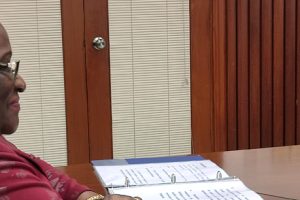 Ministra Verónica Macamo no encontro virtual com o Ministro britânico para o Desenvolvimento e África Andrew Mitchell