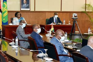 Ministra Verónica Macamo no Conselho de Ministros virtual da SADC