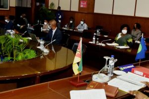 Ministra Verónica Macamo na reunião virtual do Conselho de Ministros da SADC