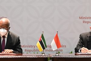 Donativo indonésio para atenuar os efeitos do Idai