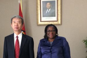 Ministra Veronica Macamo recebe cumprimentos de despedida de embaixadores