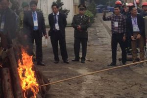 Embaixador Gamaliel Munguambe na incineração de marfim e cornos de rinoceronte em Hanói, Vietname