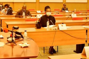 Vice-Ministro Manuel Gonçalves ao proceder a abertura do Conselho Consultivo das Comunidades Moçambicanas no Exterior, realizado por vídeo-conferência