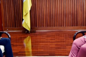 Ministra Verónica Macamo no encontro com o Ministro dos Negócios Estrangeiros e Cooperação Internacional das Comores, Dhoihir Dhoulkamal