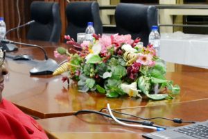 Ministra Veronica Macamo Dhlovo na reunião virtual do grupo de países da ACP