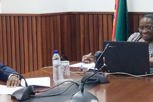 Ministra dos Negócios Estrangeiros e Cooperação reune com o Corpo Diplomático em videoconferência