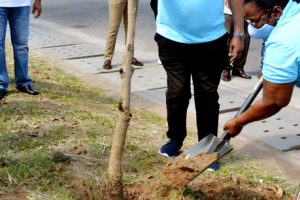 Ministra Verónica Macamo Dhlovo planta árvores na Av. OUA
