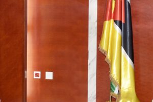 Presidente Filipe Nyusi na audiência concedida a Embaixadora da Noruega em Moçambique, Aud Marit