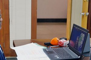 Vice-Ministro Manuel Gonçalves na audiência virtual concedida à Embaixadora Regional para a África Subsahariana da COP26, Janet Rogan